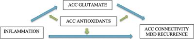 Study Protocol for Teen Inflammation Glutamate Emotion Research (TIGER)